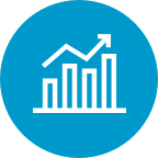 Quarterly Earnings Presentation - Icon