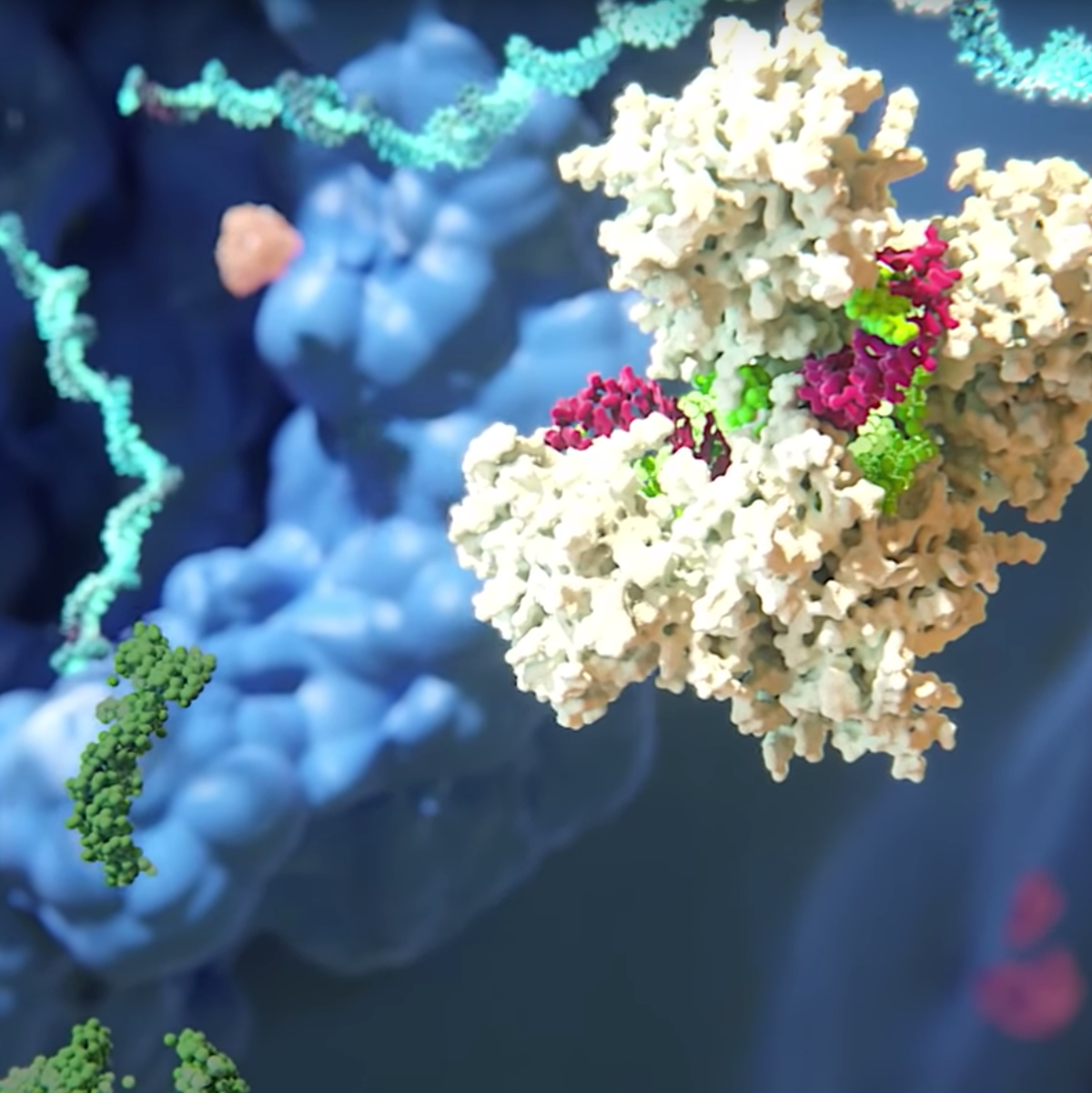 Alnylam Pharmaceuticals Stock